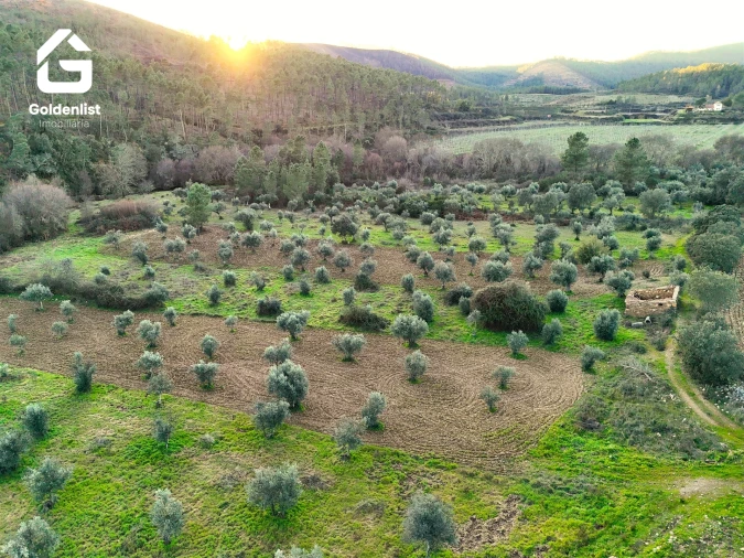 Quinta T0 para Venda em Freixial e Juncal do Campo Foto 5