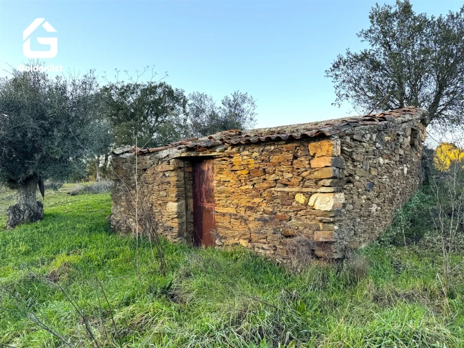 Quinta T0 para Venda em Freixial e Juncal do Campo Foto 1