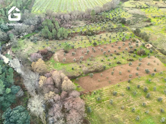 Quinta T0 para Venda em Freixial e Juncal do Campo Foto 7