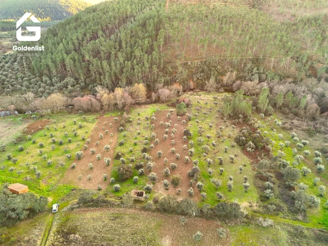 Quinta T0 para Venda em Freixial e Juncal do Campo Foto 4