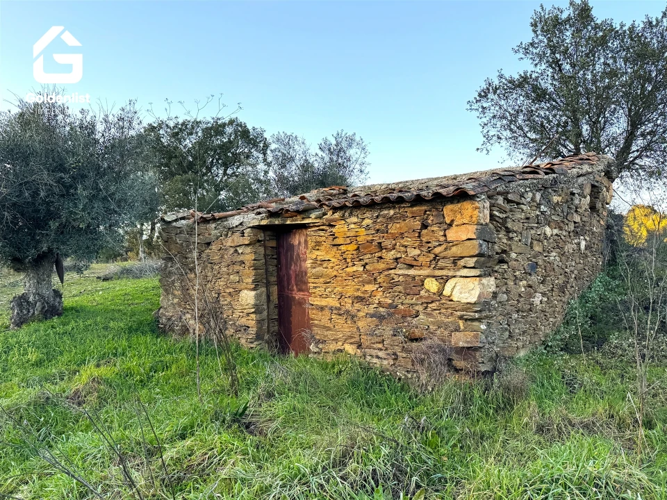 Quinta T0 para Venda em Freixial e Juncal do Campo Foto 1