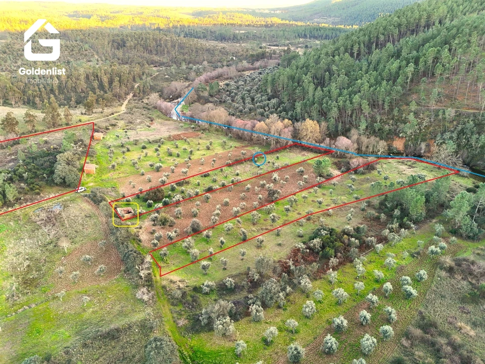 Quinta T0 para Venda em Freixial e Juncal do Campo Foto 3