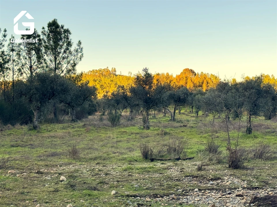 Quinta T0 para Venda em Freixial e Juncal do Campo Foto 21