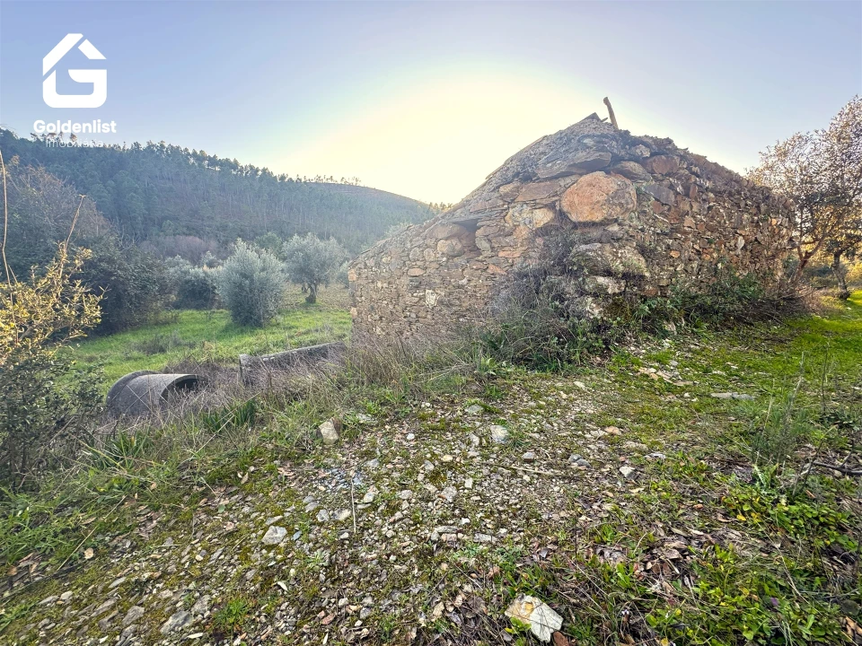 Quinta T0 para Venda em Freixial e Juncal do Campo Foto 14