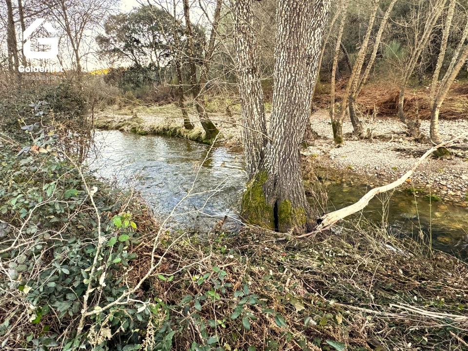 Quinta T0 para Venda em Freixial e Juncal do Campo Foto 22