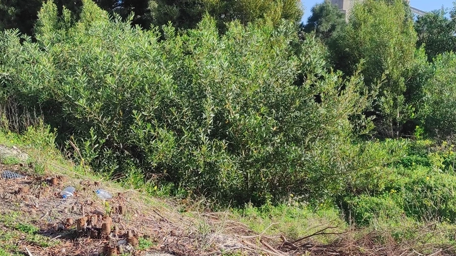 Terreno para Venda em Vila Verde