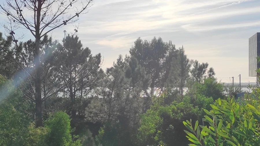 Terreno para Venda em Vila Verde