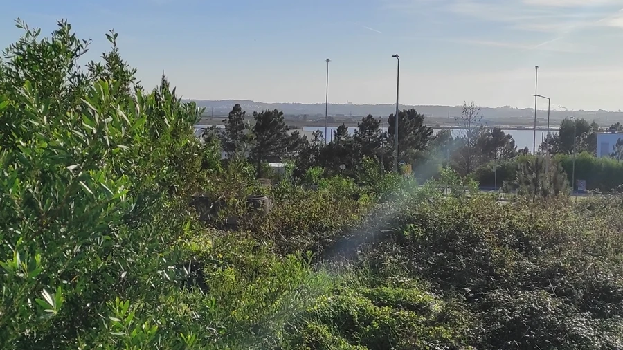 Terreno para Venda em Vila Verde