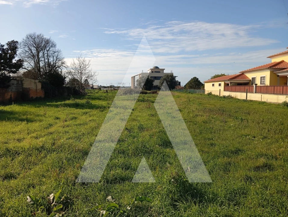 Terreno para Venda em Oiã Foto 2