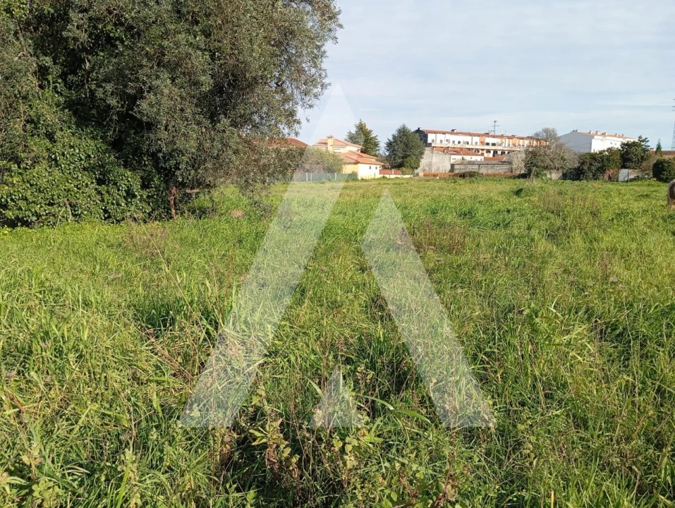 Terreno para Venda em Oiã Foto 13