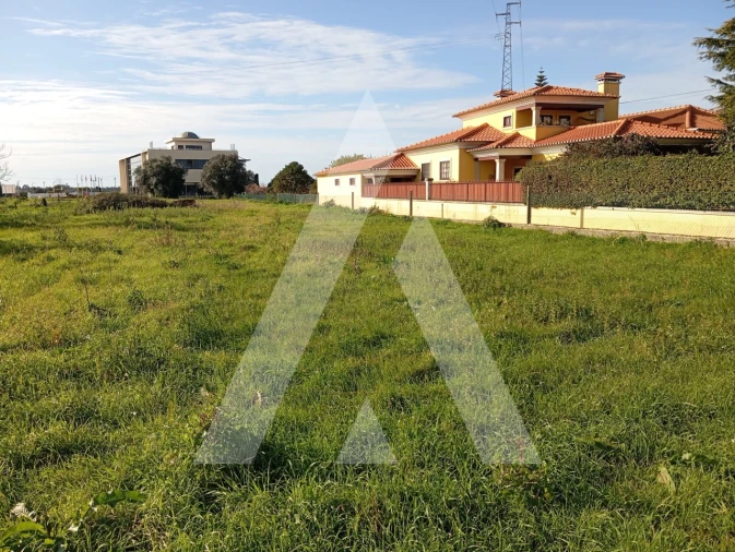 Terreno para Venda em Oiã Foto 11