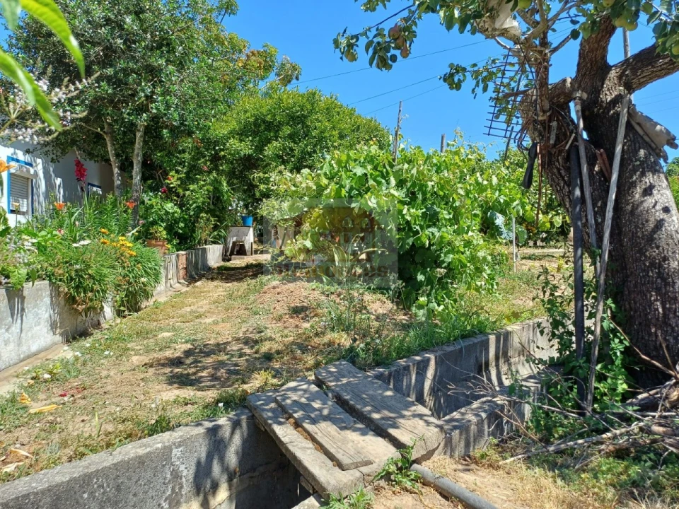 Moradia T2 para Venda em Melides Foto 4