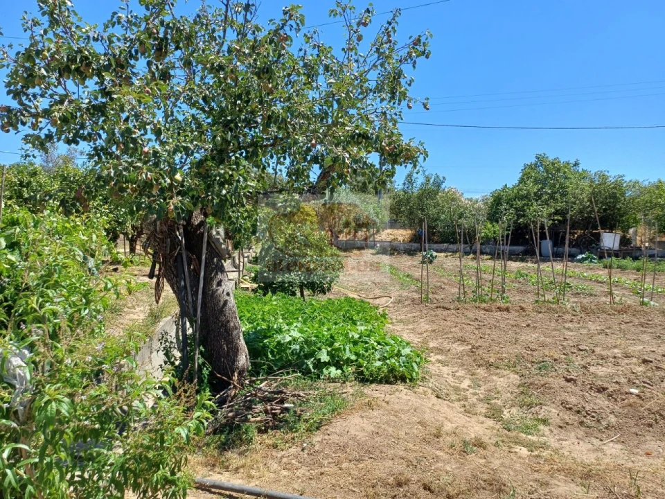 Moradia T2 para Venda em Melides Foto 9