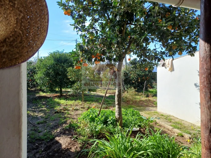 Quinta T2 para Venda em Melides Foto 1