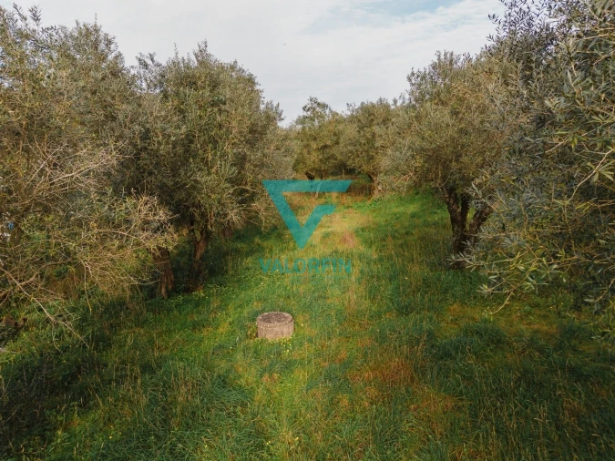 Terreno para Venda em Arrabal Foto 8