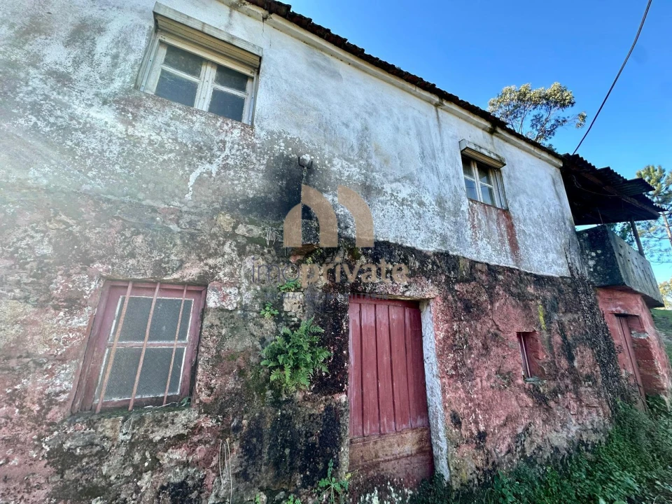 Moradia T0 para Venda em Regilde Foto 3