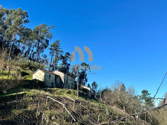 Moradia T0 para Venda em Regilde Foto 15