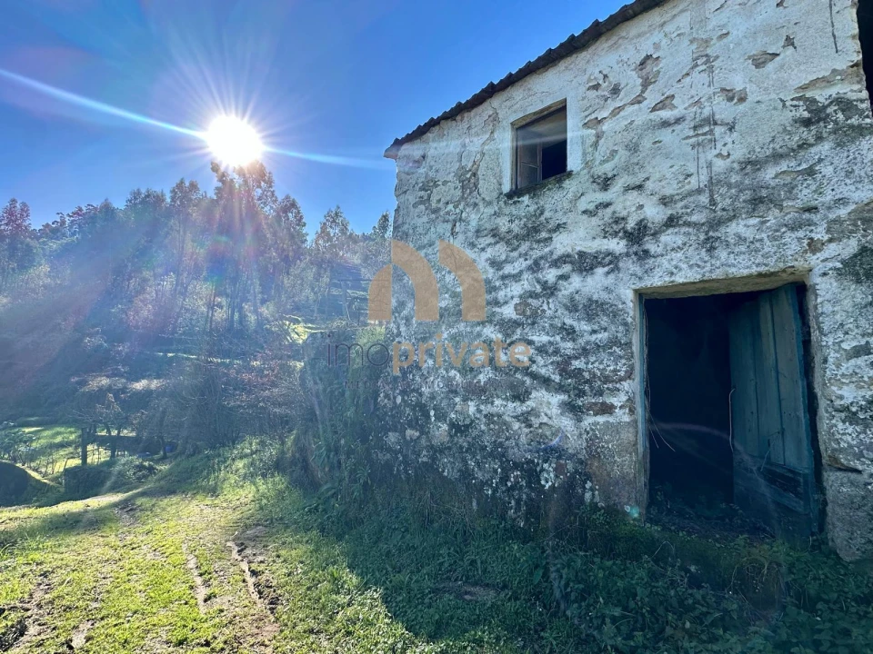 Moradia T0 para Venda em Regilde Foto 5