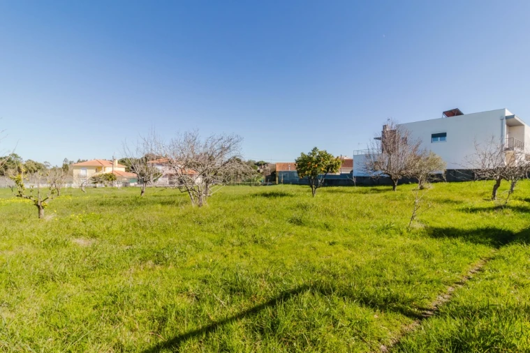 Terreno para Venda em Cantanhede e Pocariça Foto 2