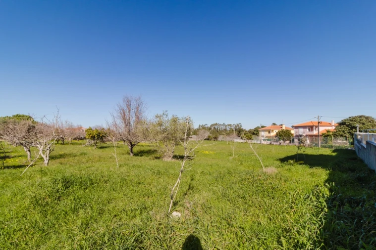 Terreno para Venda em Cantanhede e Pocariça Foto 6