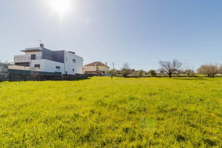Terreno para Venda em Cantanhede e Pocariça Foto 7