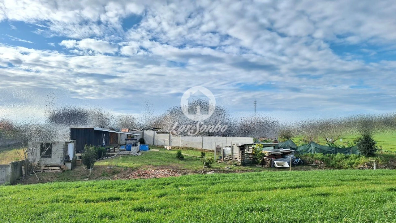 Moradia T0 para Venda em Bagunte, Ferreiró, Outeiro Maior e Parada Foto 15