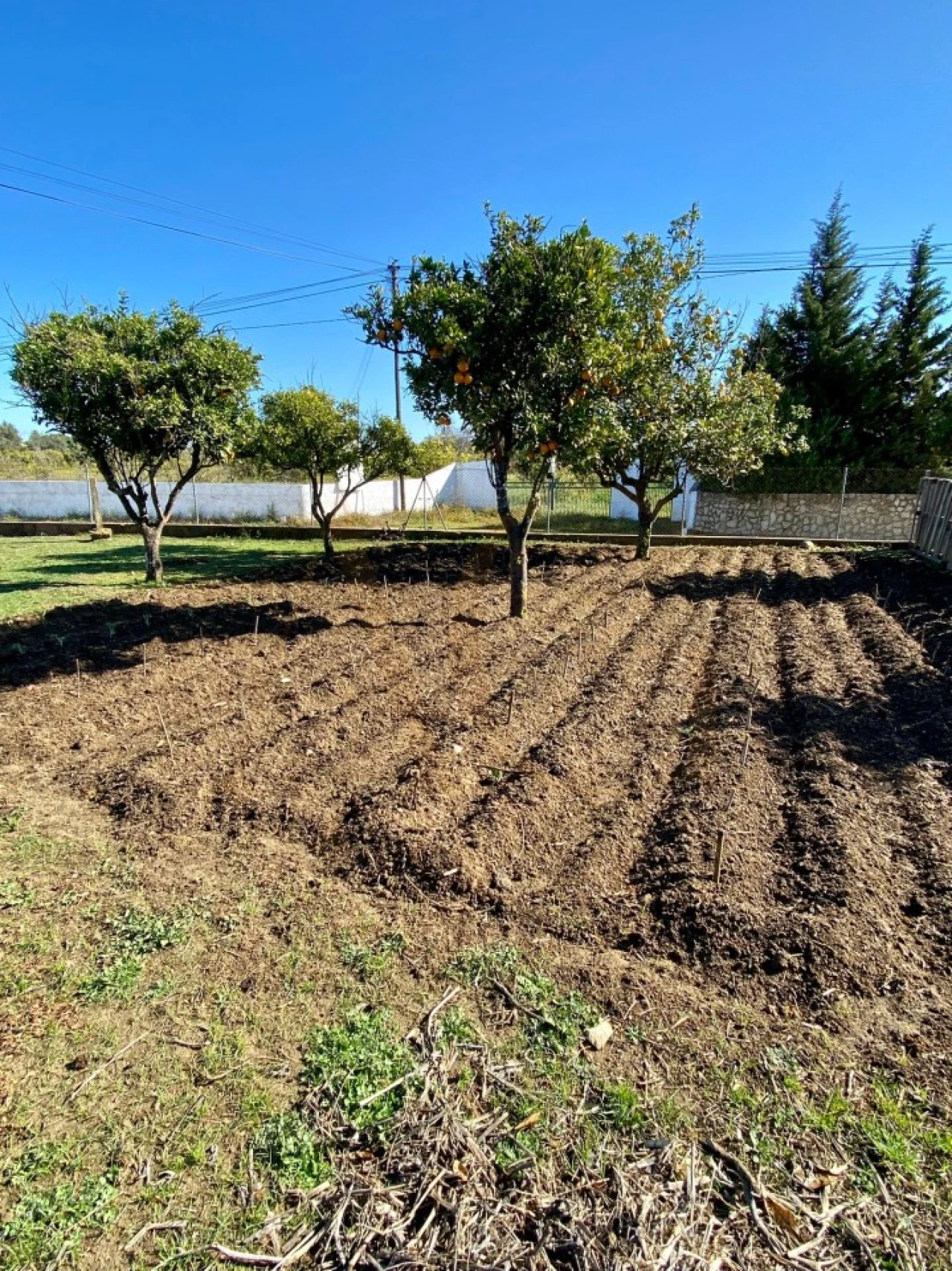 Moradia T3 para Venda em Luz de Tavira e Santo Estêvão Foto 37