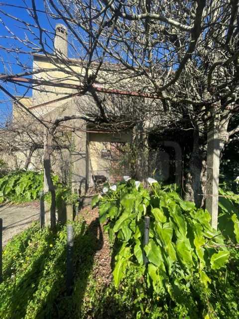 Moradia T6 para Venda em Ferreira do Zezere
