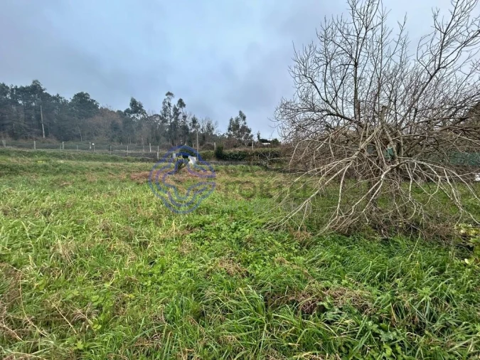 Terreno para Venda em Romariz Foto 13