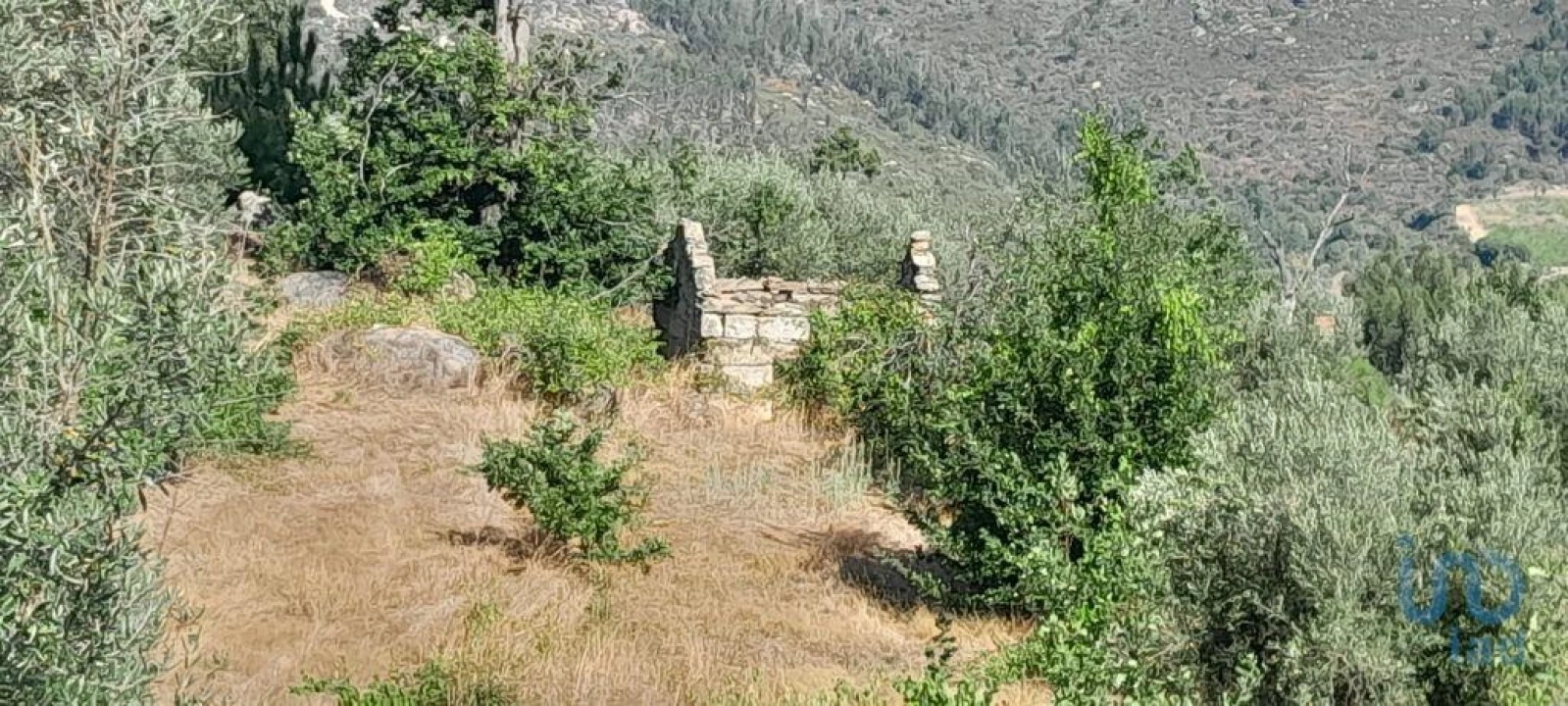 Terreno para Venda em Seixo da Beira Foto 1