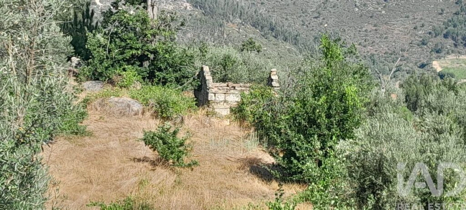 Terreno para Venda em Seixo da Beira Foto 24