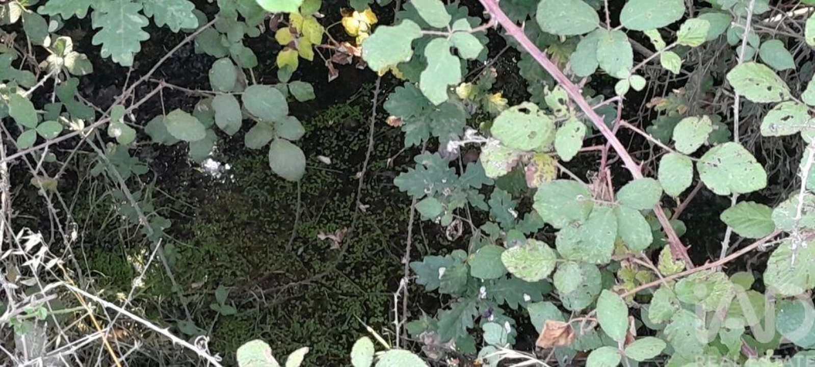 Terreno para Venda em Seixo da Beira Foto 20