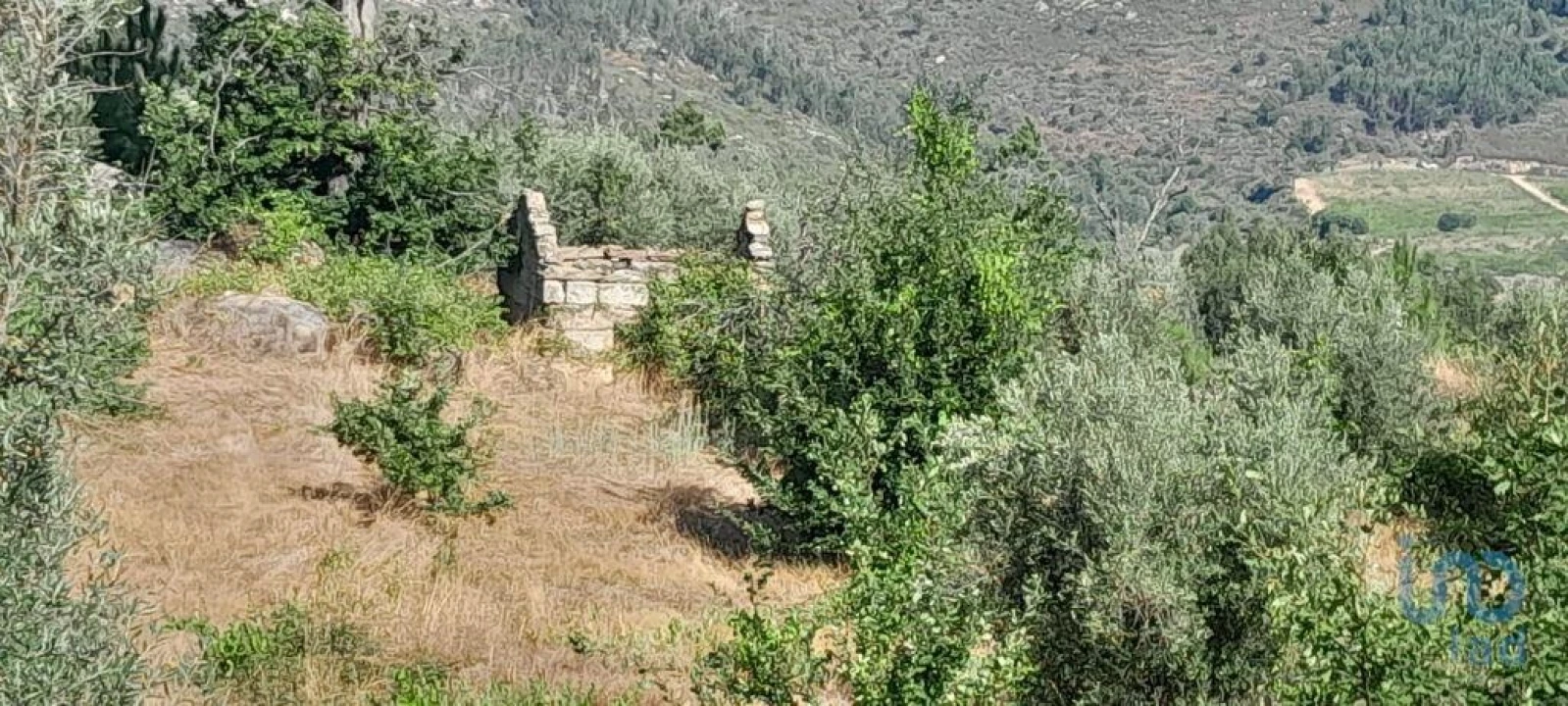 Terreno para Venda em Seixo da Beira Foto 7