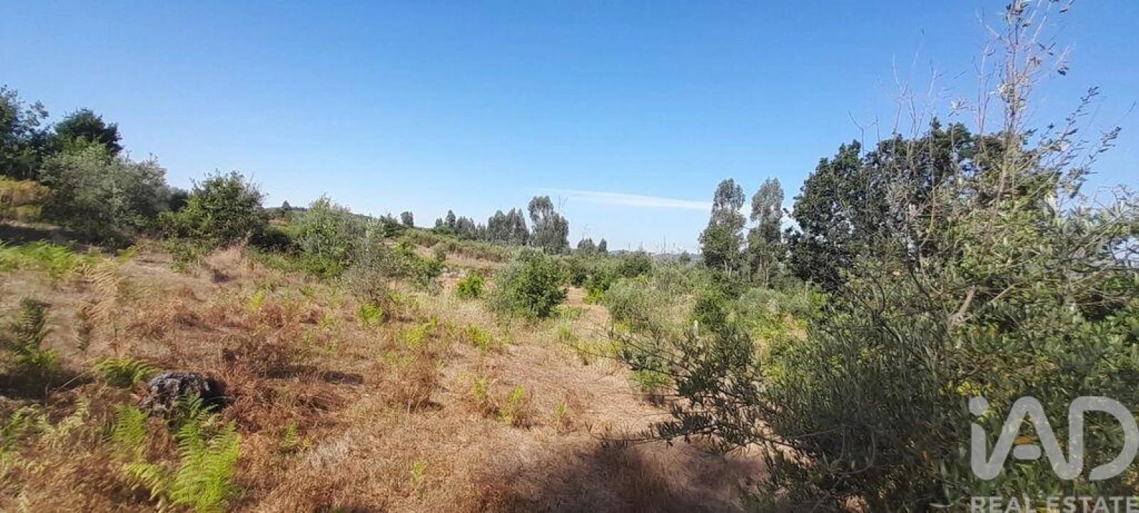 Terreno para Venda em Seixo da Beira Foto 16