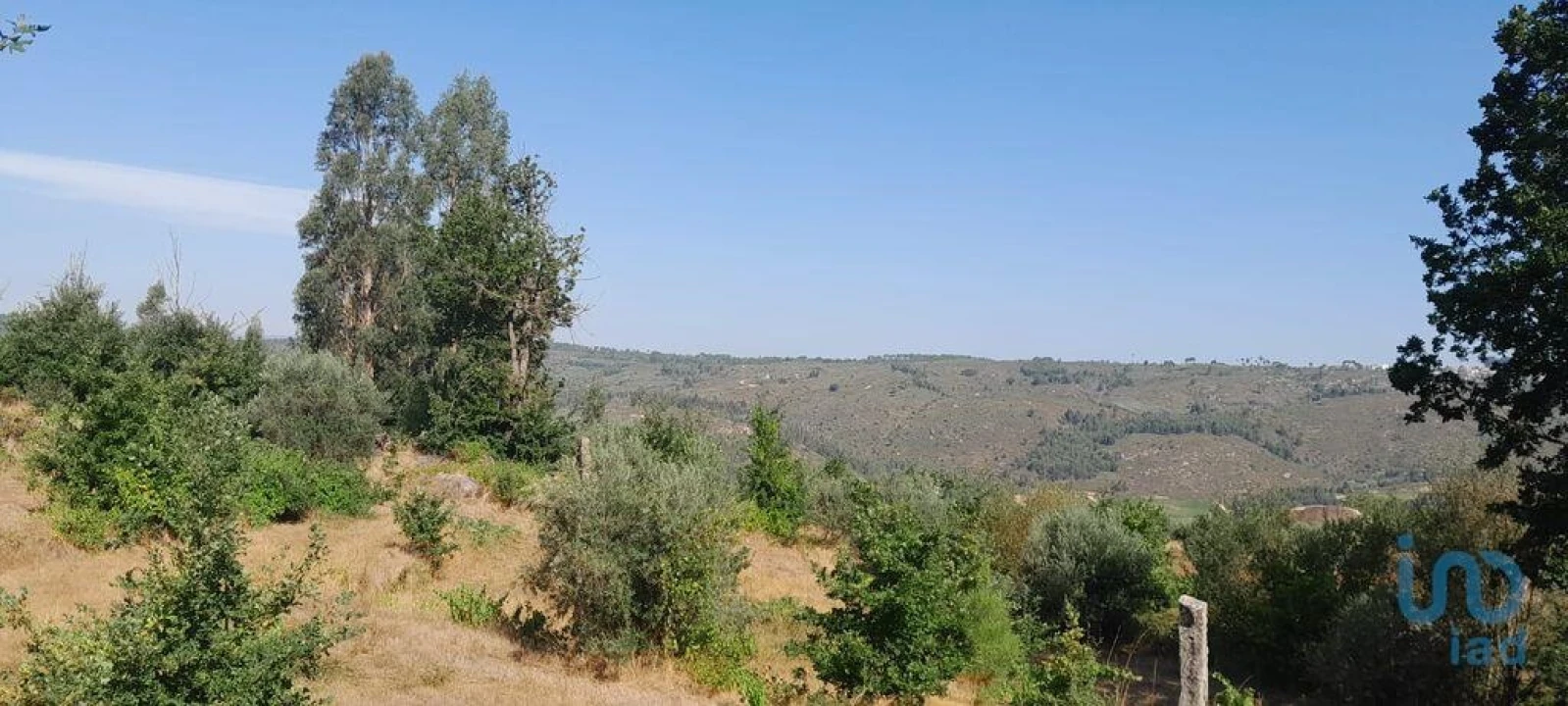 Terreno para Venda em Seixo da Beira Foto 14