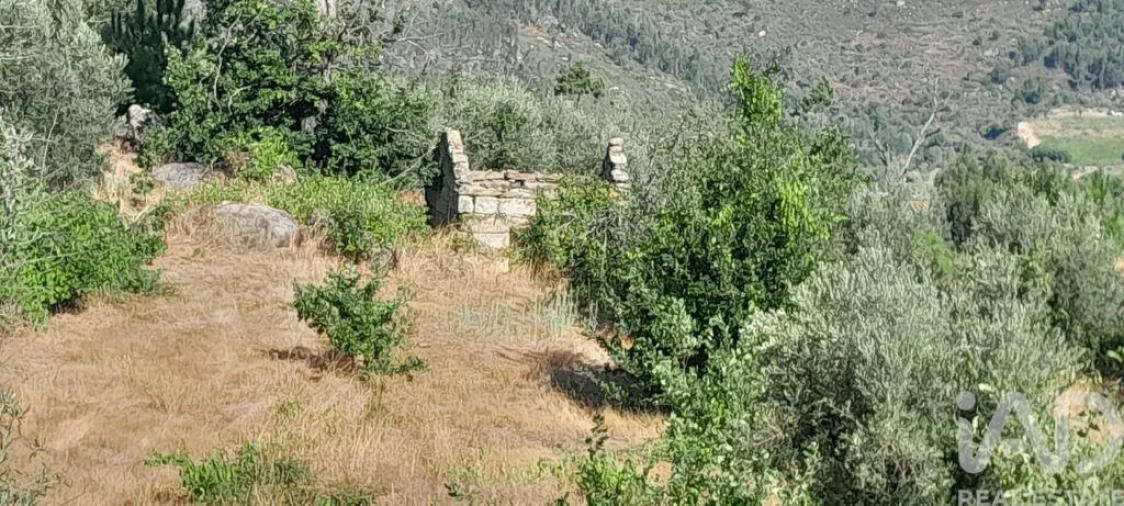 Terreno para Venda em Seixo da Beira Foto 17