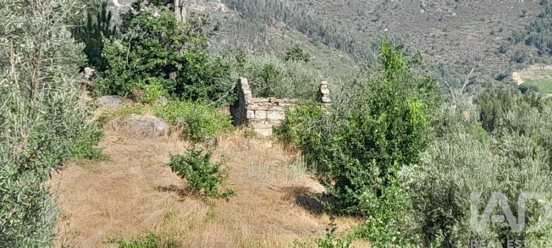 Terreno para Venda em Seixo da Beira Foto 24