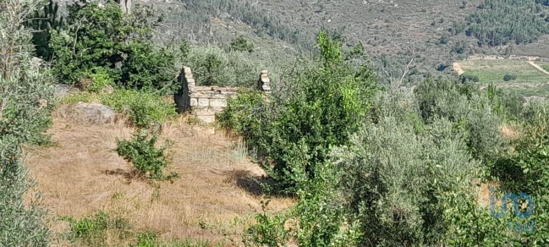 Terreno para Venda em Seixo da Beira Foto 7