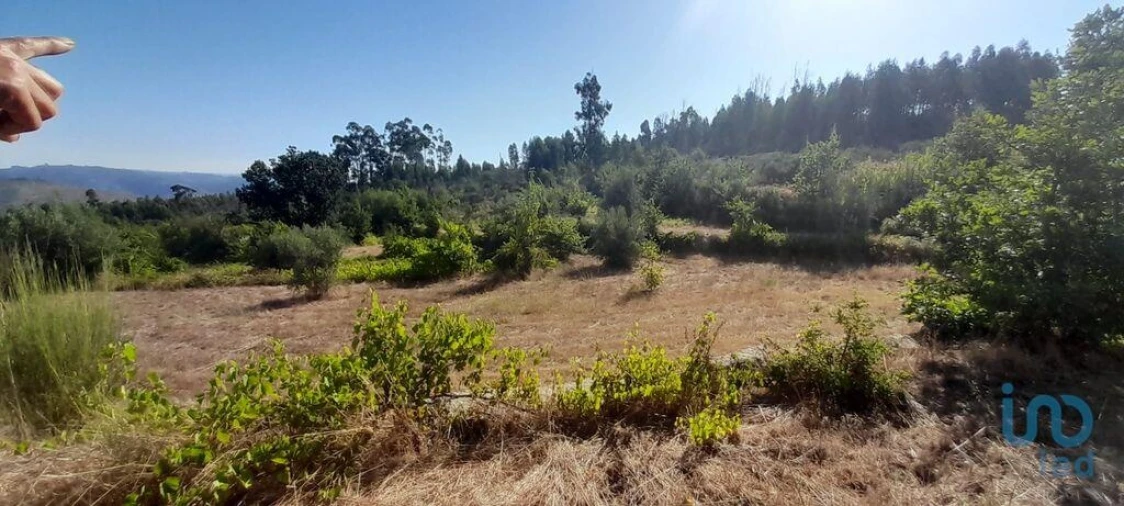 Terreno para Venda em Seixo da Beira Foto 6