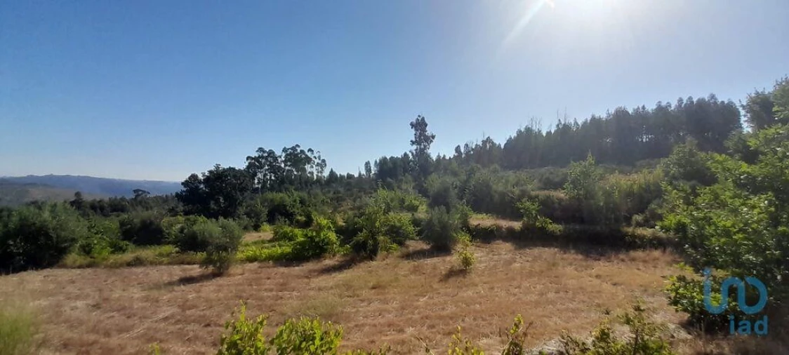 Terreno para Venda em Seixo da Beira Foto 11