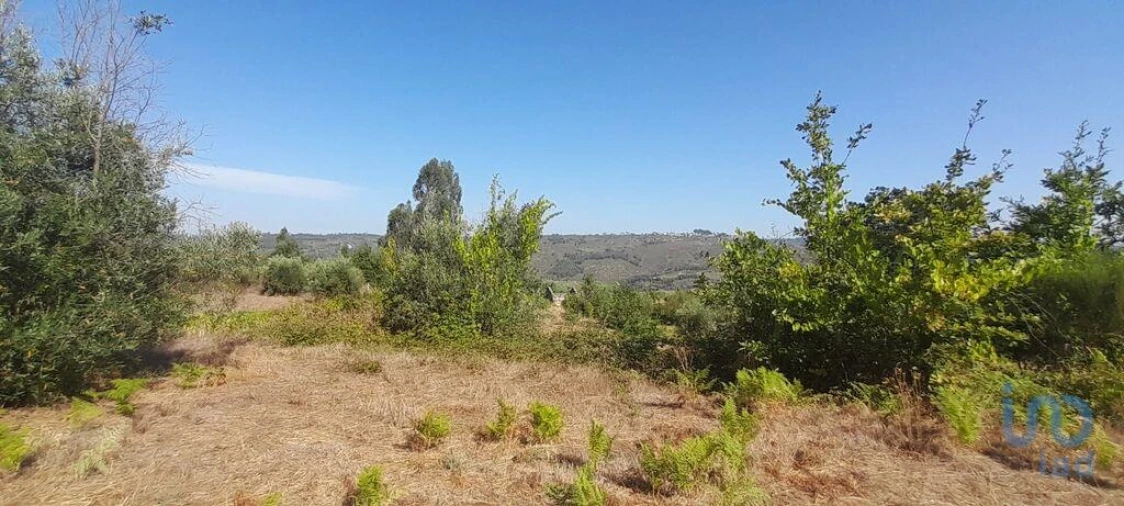 Terreno para Venda em Seixo da Beira Foto 10