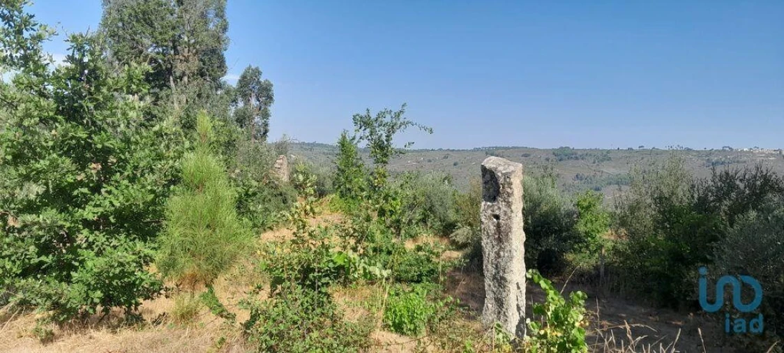 Terreno para Venda em Seixo da Beira Foto 8