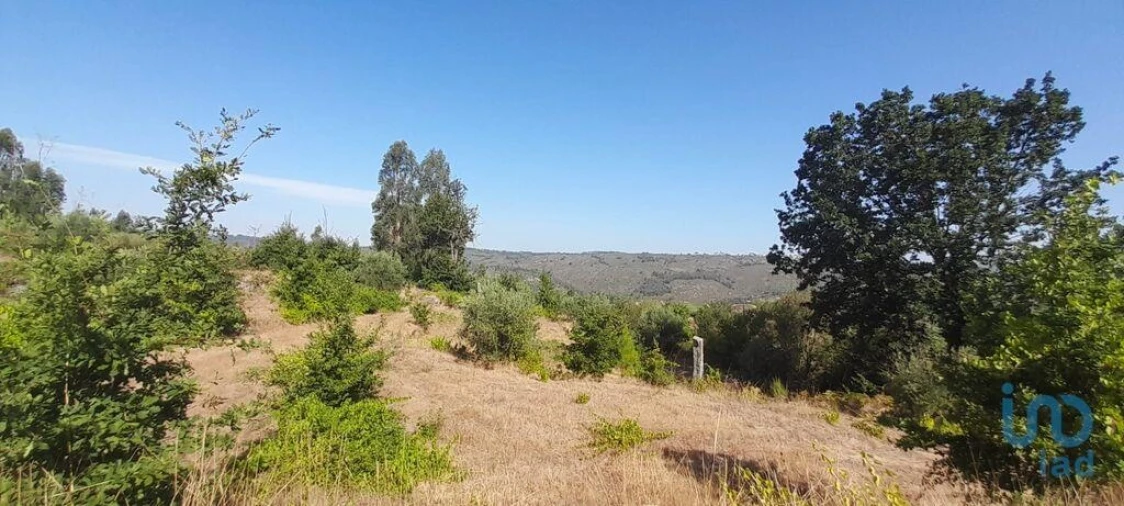 Terreno para Venda em Seixo da Beira Foto 15