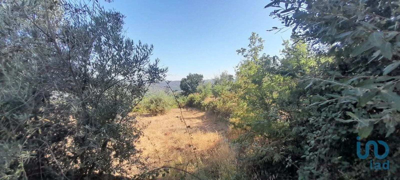 Terreno para Venda em Seixo da Beira Foto 13