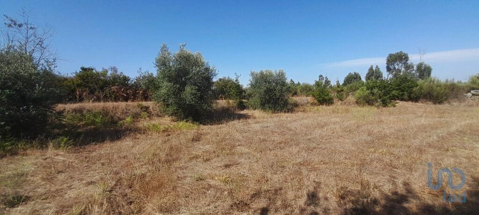 Terreno para Venda em Seixo da Beira Foto 9