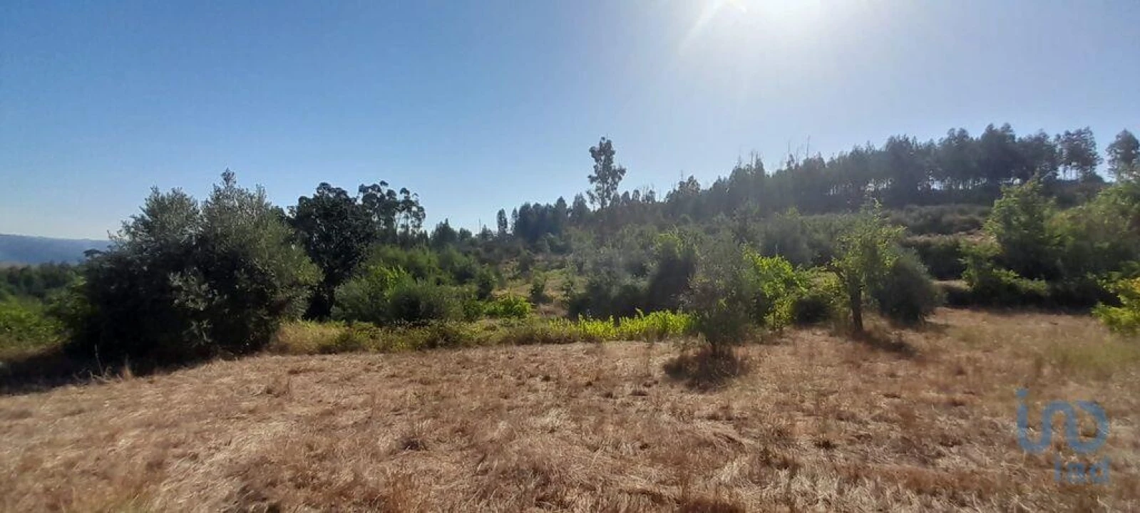 Terreno para Venda em Seixo da Beira Foto 5