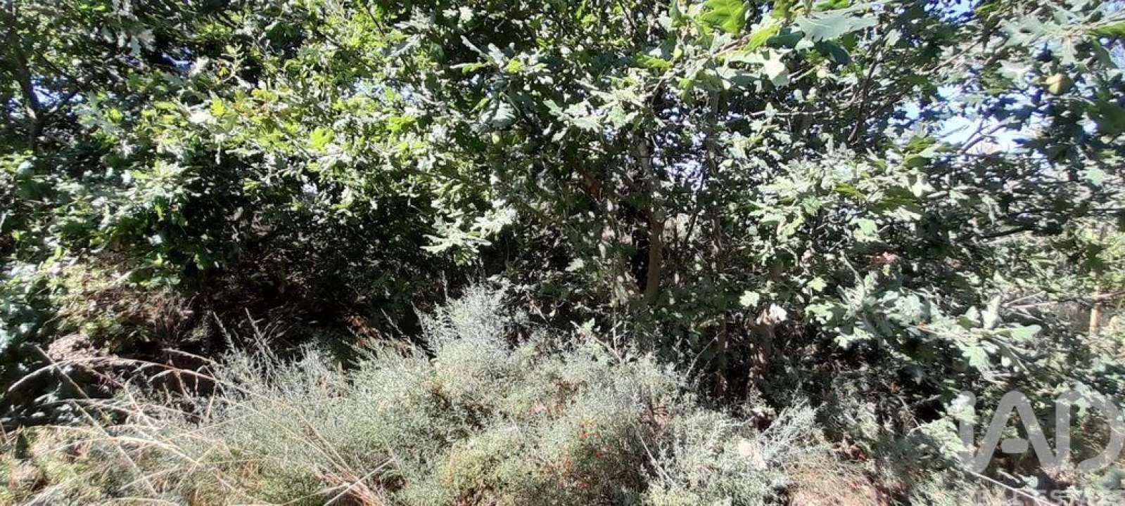 Terreno para Venda em Seixo da Beira Foto 18