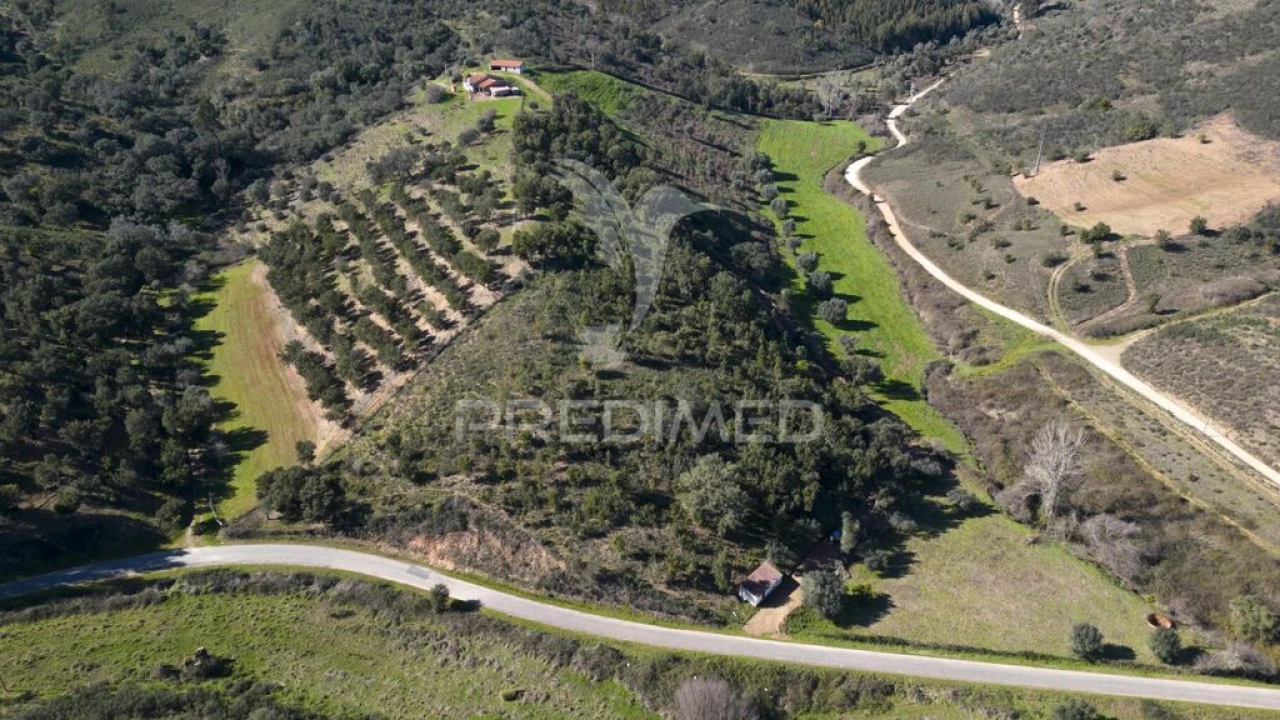 Quinta T2 para Venda em São Martinho das Amoreiras Foto 3