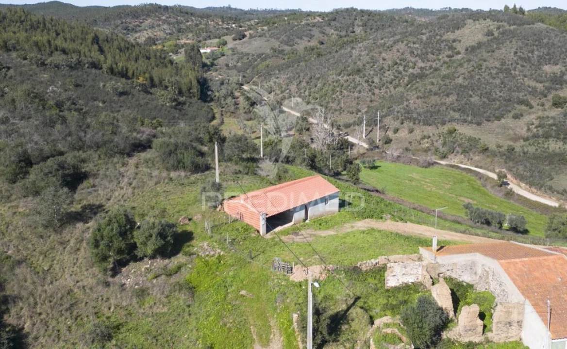 Quinta T2 para Venda em São Martinho das Amoreiras Foto 14