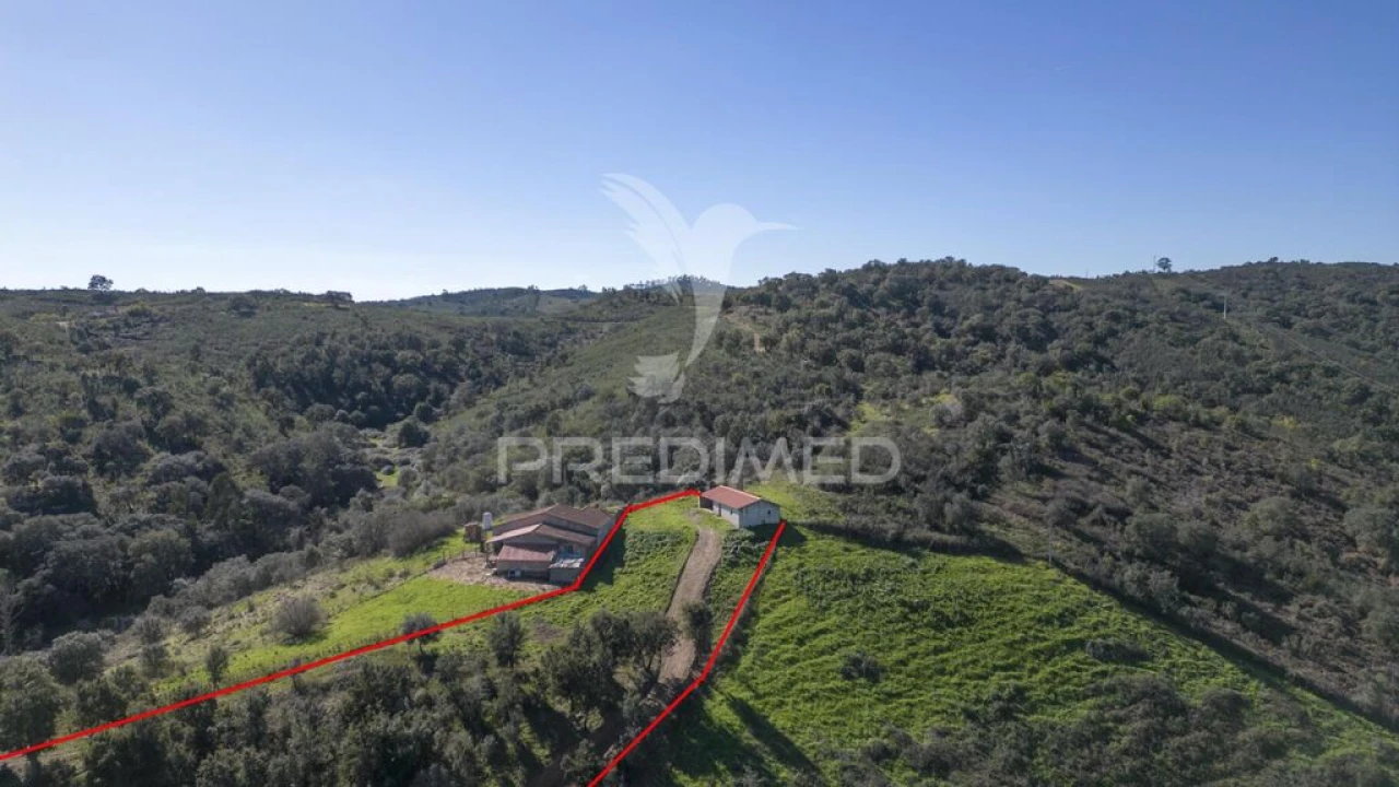 Quinta T2 para Venda em São Martinho das Amoreiras Foto 7